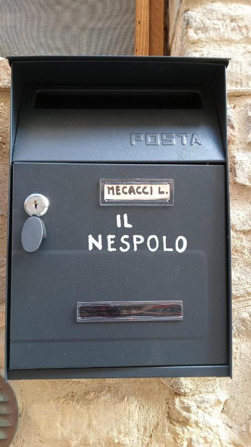 Appartamento Il Nespolo San Gimignano Exterior photo